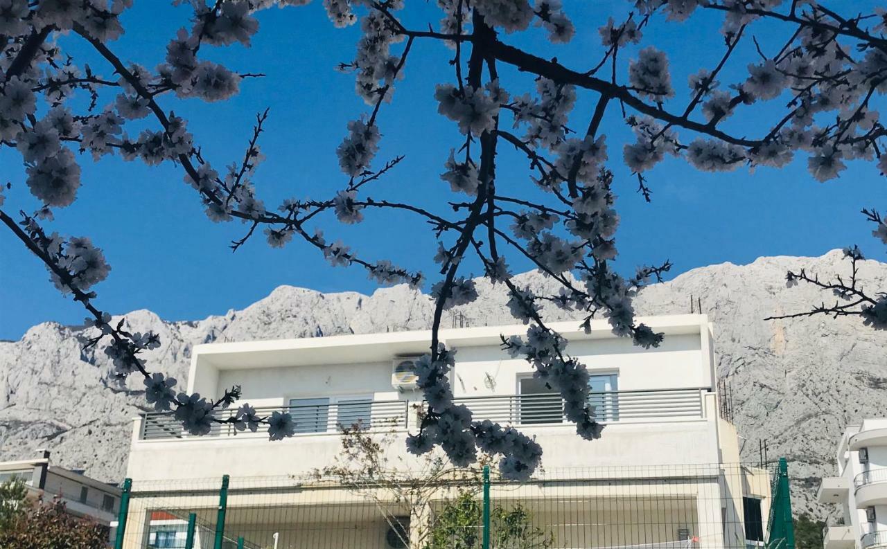 Luxury Apartments Nikolina Sea&City View Makarska Zewnętrze zdjęcie